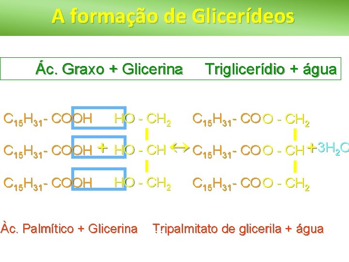 A formação de Glicerídeos Ác. Graxo + Glicerina C 15 H 31 - COOH