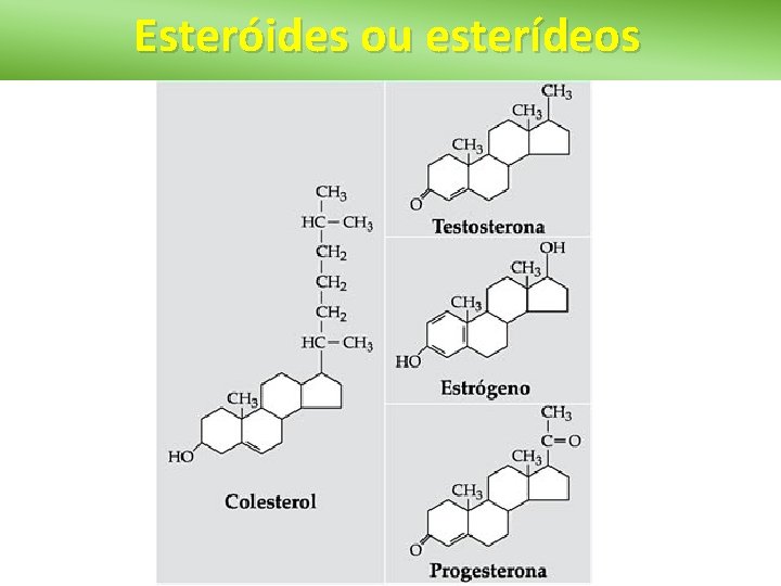 Esteróides ou esterídeos 