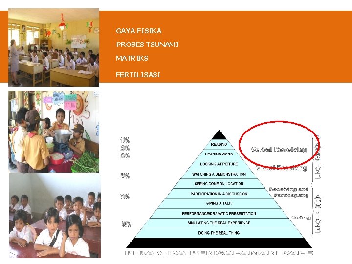 GAYA FISIKA PROSES TSUNAMI MATRIKS FERTILISASI GAYA FISIKA PROSES TSUNAMI MATRIKS FERTILISASI