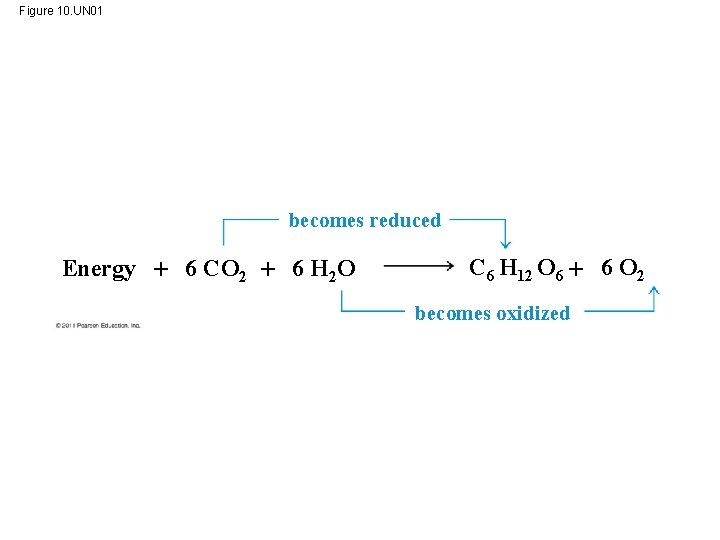 Figure 10. UN 01 becomes reduced Energy 6 CO 2 6 H 2 O Figure 10. UN 01 becomes reduced Energy 6 CO 2 6 H 2 O
