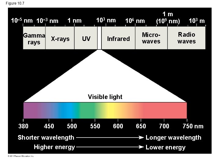 Figure 10. 7 10 5 nm 10 3 nm 103 1 nm Gamma X-rays Figure 10. 7 10 5 nm 10 3 nm 103 1 nm Gamma X-rays
