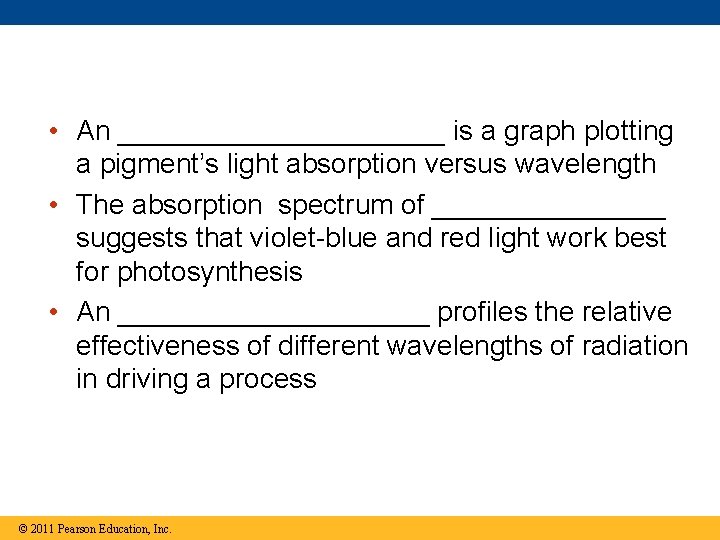 • An ___________ is a graph plotting a pigment’s light absorption versus wavelength • An ___________ is a graph plotting a pigment’s light absorption versus wavelength