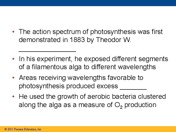 • The action spectrum of photosynthesis was first demonstrated in 1883 by Theodor • The action spectrum of photosynthesis was first demonstrated in 1883 by Theodor