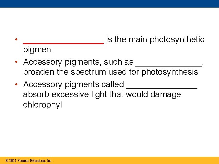 • _________ is the main photosynthetic pigment • Accessory pigments, such as _______, • _________ is the main photosynthetic pigment • Accessory pigments, such as _______,