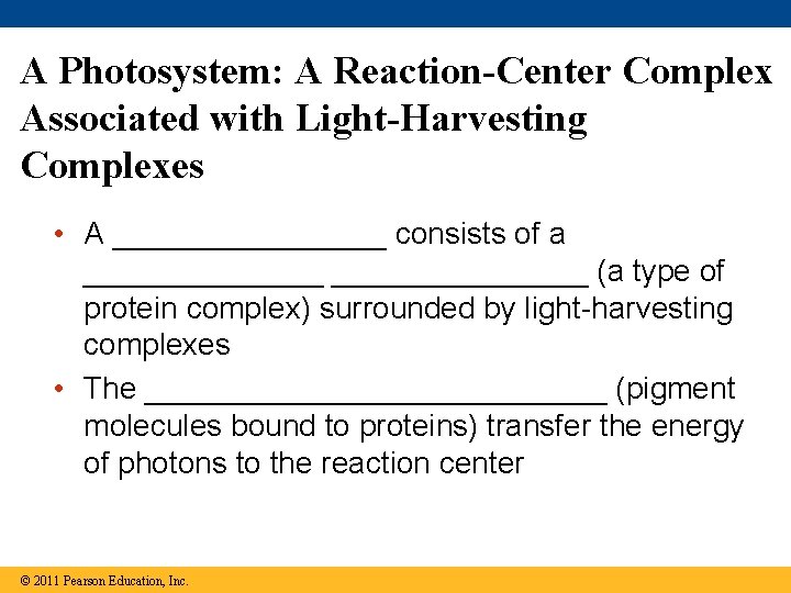 A Photosystem: A Reaction-Center Complex Associated with Light-Harvesting Complexes • A ________ consists of A Photosystem: A Reaction-Center Complex Associated with Light-Harvesting Complexes • A ________ consists of