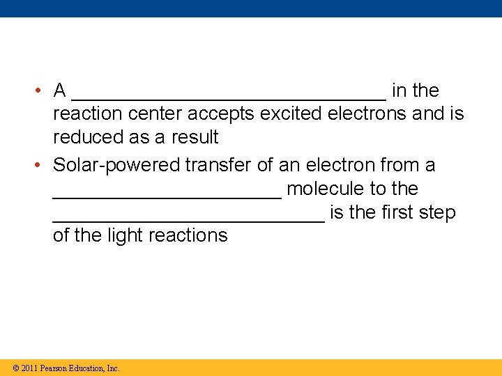• A _______________ in the reaction center accepts excited electrons and is reduced • A _______________ in the reaction center accepts excited electrons and is reduced