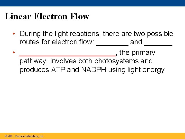 Linear Electron Flow • During the light reactions, there are two possible routes for Linear Electron Flow • During the light reactions, there are two possible routes for