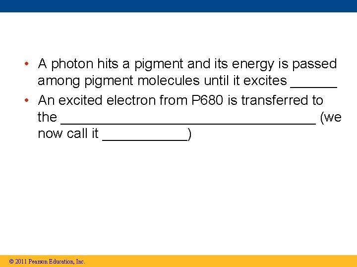 • A photon hits a pigment and its energy is passed among pigment • A photon hits a pigment and its energy is passed among pigment