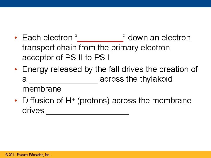 • Each electron “_____” down an electron transport chain from the primary electron • Each electron “_____” down an electron transport chain from the primary electron