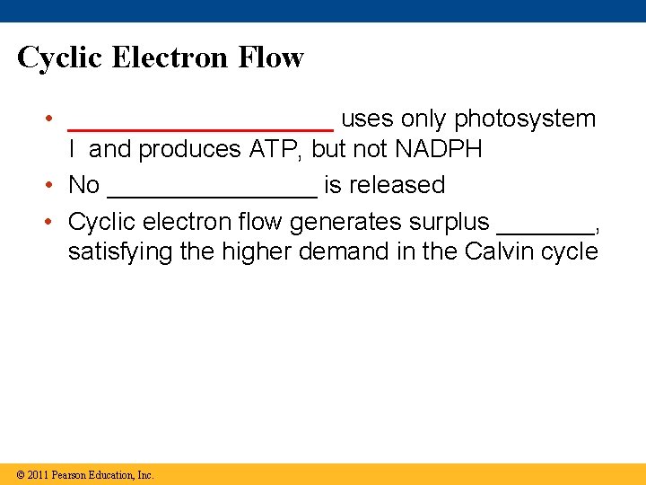 Cyclic Electron Flow • __________ uses only photosystem I and produces ATP, but not Cyclic Electron Flow • __________ uses only photosystem I and produces ATP, but not