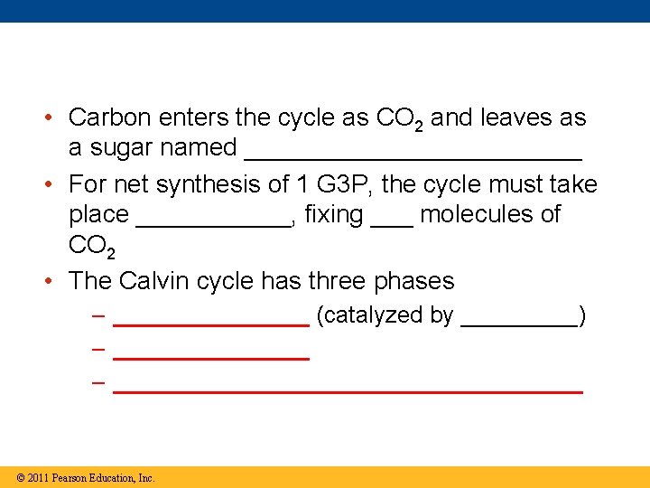 • Carbon enters the cycle as CO 2 and leaves as a sugar • Carbon enters the cycle as CO 2 and leaves as a sugar