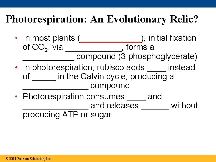 Photorespiration: An Evolutionary Relic? • In most plants (_______), initial fixation of CO 2, Photorespiration: An Evolutionary Relic? • In most plants (_______), initial fixation of CO 2,