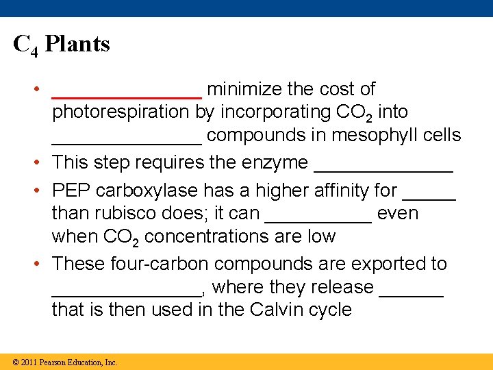C 4 Plants • _______ minimize the cost of photorespiration by incorporating CO 2 C 4 Plants • _______ minimize the cost of photorespiration by incorporating CO 2