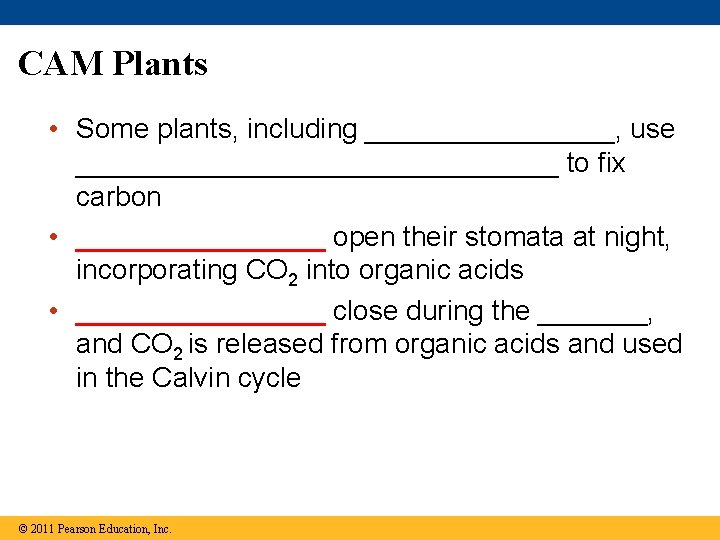 CAM Plants • Some plants, including ________, use ________________ to fix carbon • ________ CAM Plants • Some plants, including ________, use ________________ to fix carbon • ________