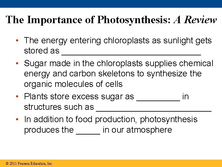 The Importance of Photosynthesis: A Review • The energy entering chloroplasts as sunlight gets The Importance of Photosynthesis: A Review • The energy entering chloroplasts as sunlight gets