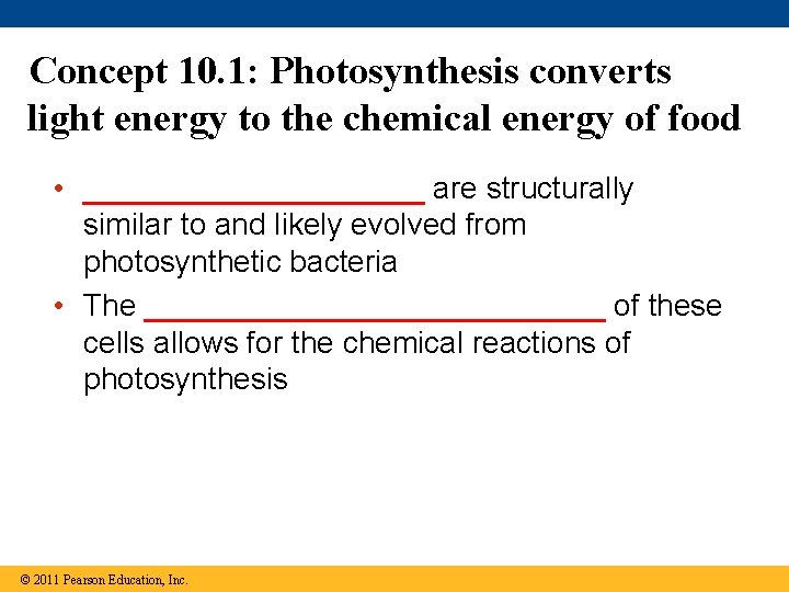 Concept 10. 1: Photosynthesis converts light energy to the chemical energy of food • Concept 10. 1: Photosynthesis converts light energy to the chemical energy of food •