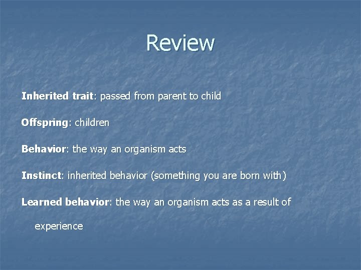 Review Inherited trait: passed from parent to child Offspring: children Behavior: the way an Review Inherited trait: passed from parent to child Offspring: children Behavior: the way an