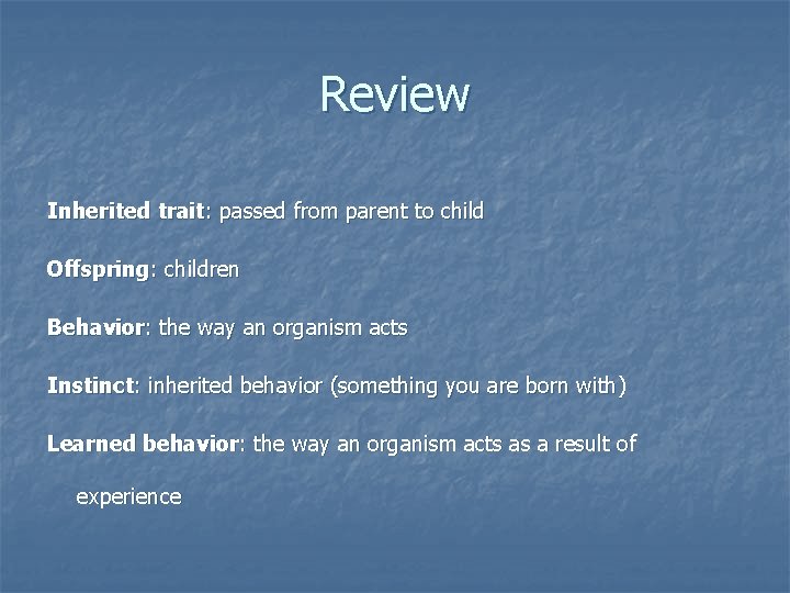 Review Inherited trait: passed from parent to child Offspring: children Behavior: the way an