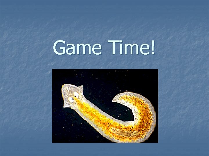 Game Time! Game Time!