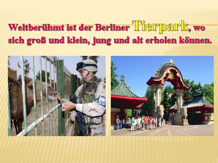 Weltberühmt ist der Berliner Tierpark, wo sich groß und klein, jung und alt erholen