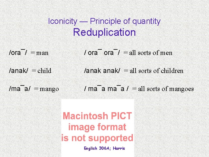 Iconicity — Principle of quantity Reduplication /ora¯/ = man / ora¯/ = all sorts