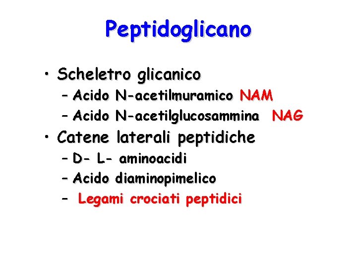 Peptidoglicano • Scheletro glicanico – Acido N-acetilmuramico NAM – Acido N-acetilglucosammina NAG • Catene
