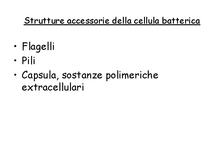 Strutture accessorie della cellula batterica • Flagelli • Pili • Capsula, sostanze polimeriche extracellulari