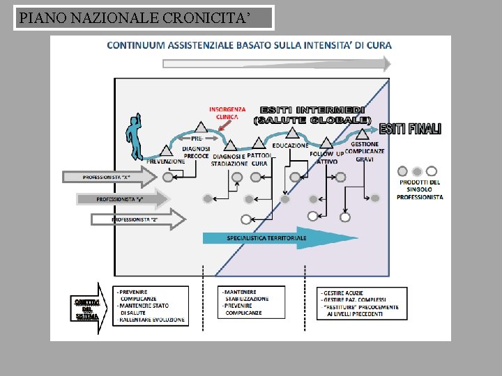 PIANO NAZIONALE CRONICITA’ 