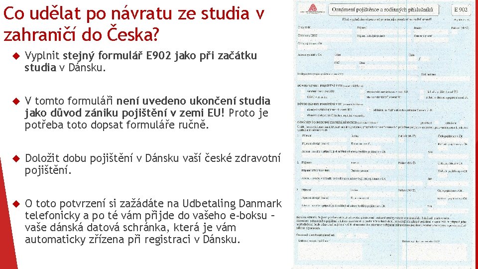 Co udělat po návratu ze studia v zahraničí do Česka? Vyplnit stejný formulář E