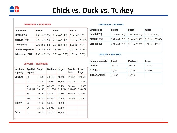 Chick vs. Duck vs. Turkey Chick vs. Duck vs. Turkey