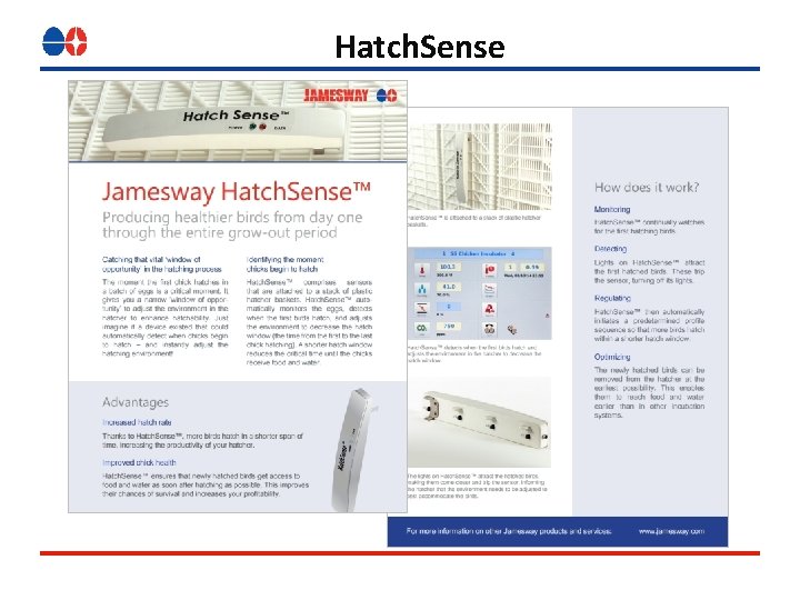 Hatch. Sense Hatch. Sense
