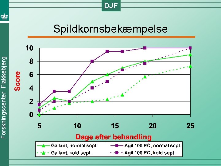 Forskningscenter Flakkebjerg DJF Spildkornsbekæmpelse 