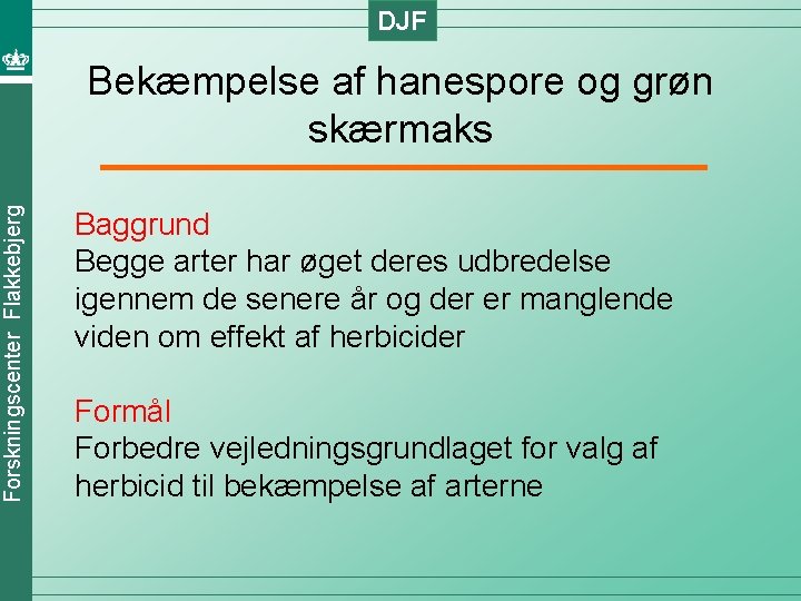 DJF Forskningscenter Flakkebjerg Bekæmpelse af hanespore og grøn skærmaks Baggrund Begge arter har øget