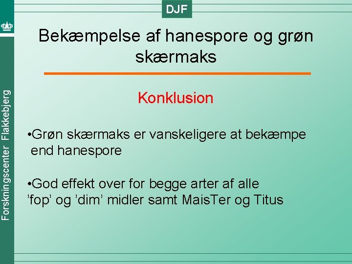 DJF Forskningscenter Flakkebjerg Bekæmpelse af hanespore og grøn skærmaks Konklusion • Grøn skærmaks er
