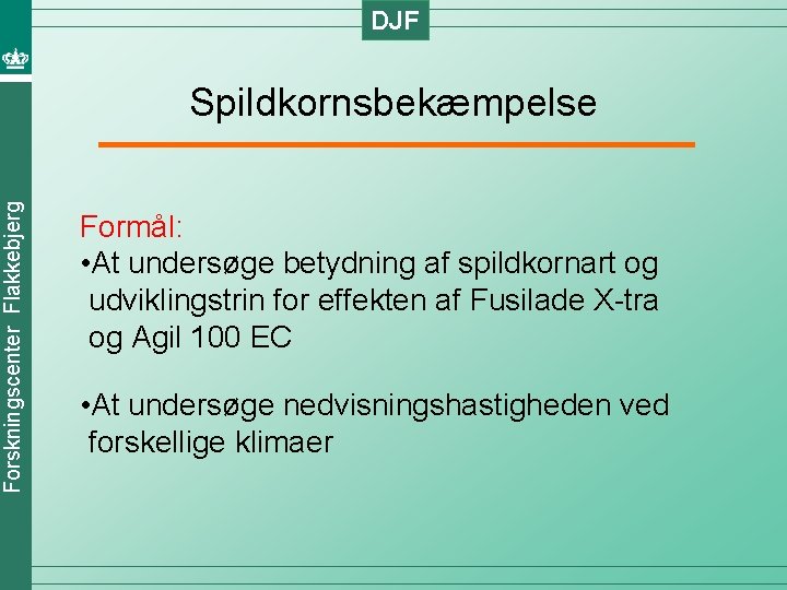 DJF Forskningscenter Flakkebjerg Spildkornsbekæmpelse Formål: • At undersøge betydning af spildkornart og udviklingstrin for