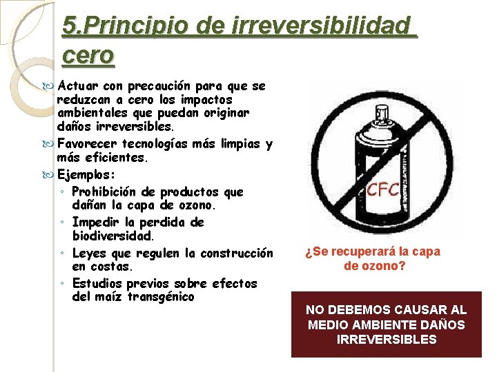 5. Principio de irreversibilidad cero Actuar con precaución para que se reduzcan a cero