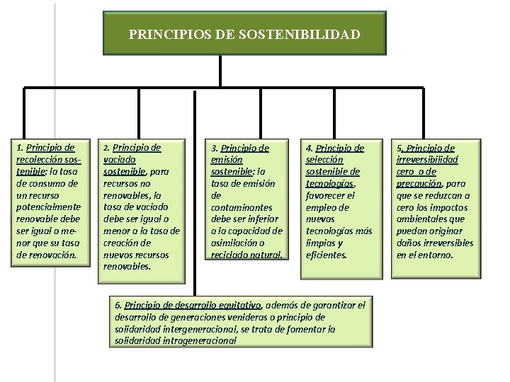 PRINCIPIOS DE SOSTENIBILIDAD 1. Principio de recolección sostenible: la tasa de consumo de un