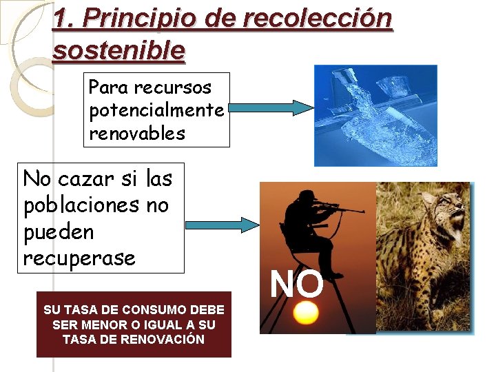 1. Principio de recolección sostenible Para recursos potencialmente renovables No cazar si las poblaciones