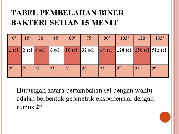 TABEL PEMBELAHAN BINER BAKTERI SETIAN 15 MENIT 0’ 15’ 30’ 45’ 1 sel 2