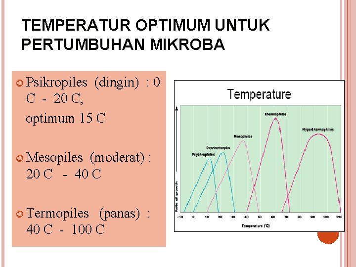 TEMPERATUR OPTIMUM UNTUK PERTUMBUHAN MIKROBA Psikropiles (dingin) : 0 C - 20 C, optimum