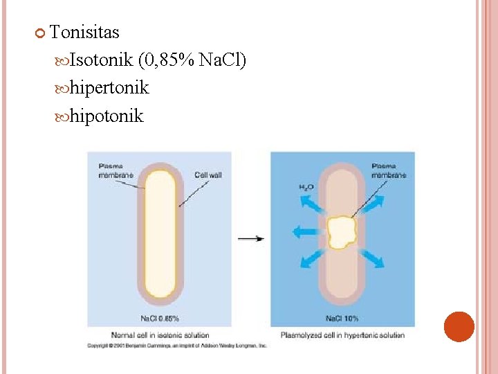  Tonisitas Isotonik (0, 85% Na. Cl) hipertonik hipotonik 
