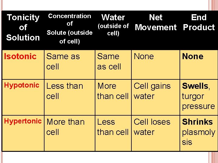 Tonicity of Solution Isotonic Concentration Water of (outside of Solute (outside cell) of cell)