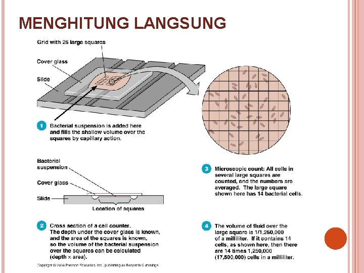 MENGHITUNG LANGSUNG 
