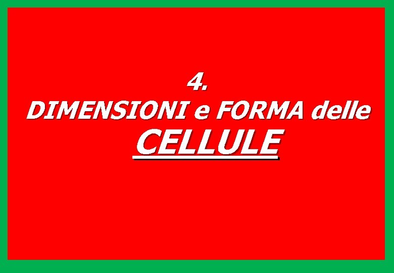 4. DIMENSIONI e FORMA delle CELLULE 