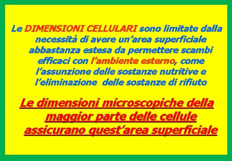 Le DIMENSIONI CELLULARI sono limitate dalla necessità di avere un’area superficiale abbastanza estesa da