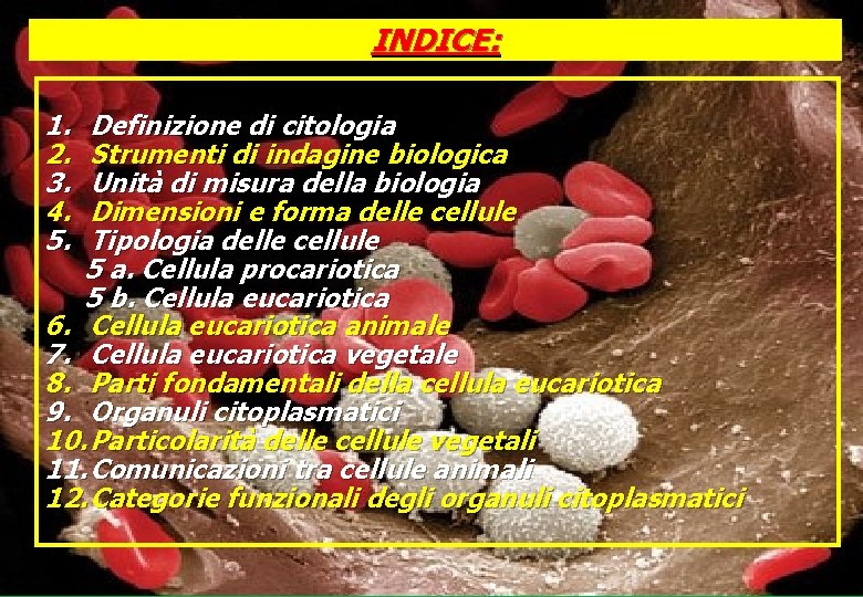 INDICE: 1. 2. 3. 4. 5. Definizione di citologia Strumenti di indagine biologica Unità