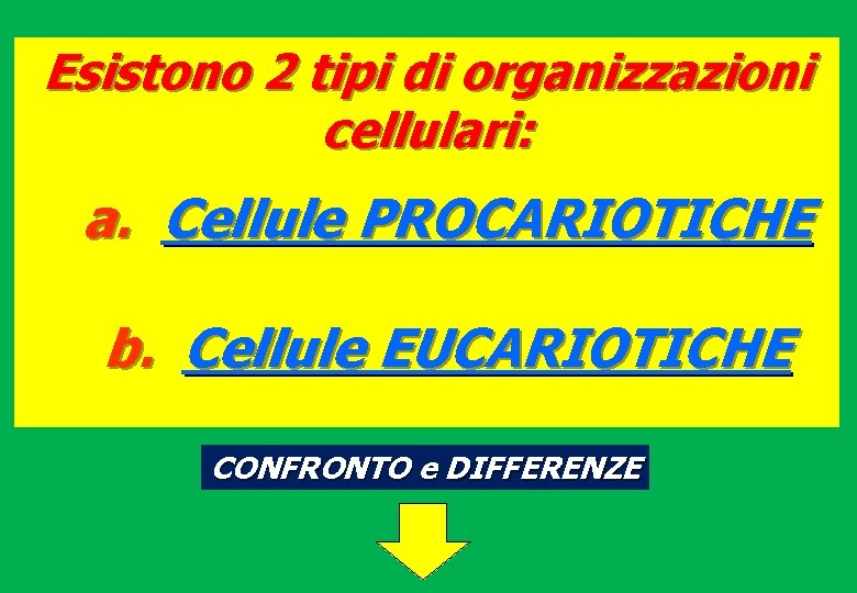 Esistono 2 tipi di organizzazioni cellulari: a. Cellule PROCARIOTICHE b. Cellule EUCARIOTICHE CONFRONTO e