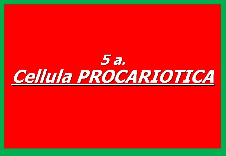 5 a. Cellula PROCARIOTICA 