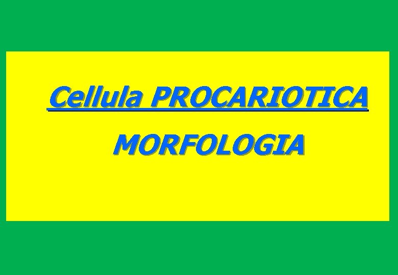 Cellula PROCARIOTICA MORFOLOGIA 