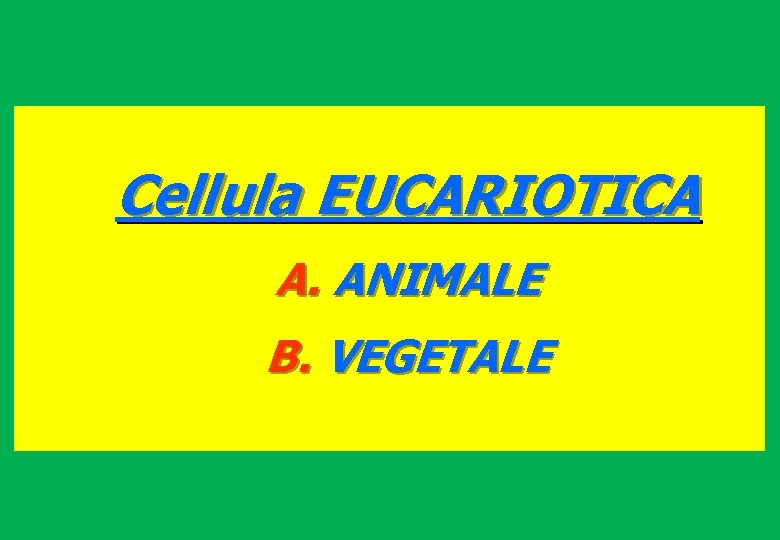 Cellula EUCARIOTICA A. ANIMALE B. VEGETALE 